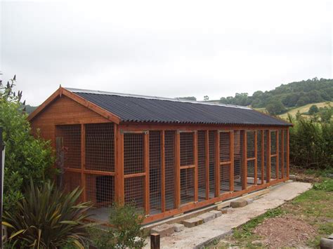 dog houses dog kennels runs beaminster sheds