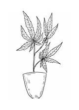 Marijuana Printable sketch template