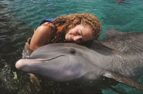 dolphins  human care      dolphin discovery