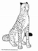 Guepardo Colorear Sentado Cheetah sketch template