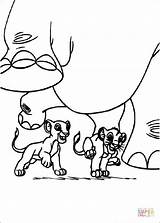 Coloring Simba Nala Pages Hippo Under Printable Drawing sketch template