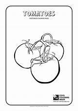 Coloring Pages Tomatoes Cool Vegetables Plants Onion Green sketch template