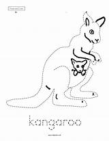 Kangaroo Trace Worksheet Color Curated Reviewed sketch template