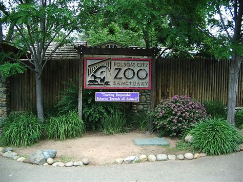 folsom city zoo sanctuary  folsom united states sygic travel