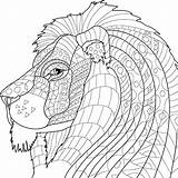 Kingdom Animal Coloring Pages Getcolorings Adult Print sketch template