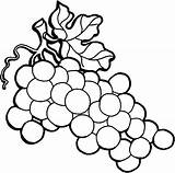 Grapes Coloring Vine Pages Wine Grape Color Vines Spain Drawing Clipart Luna Raisins Màu Tô Tranh Getcolorings Getdrawings Hình Rau sketch template