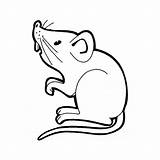 Souris Coloring Rat Coloriage Imprimer Pages Mouse Dessin Animal Rats Cartoon Drawing Colorier Animals Dessiner Printable Line Printablefreecoloring Drawings sketch template
