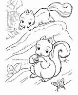 Coloring Squirrel Pages Preschool Popular sketch template