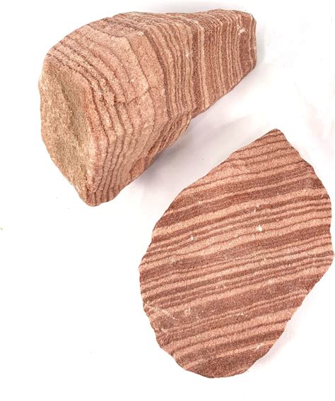 buy sandstone sedimentary rock wbanding  unpolished rock specimens