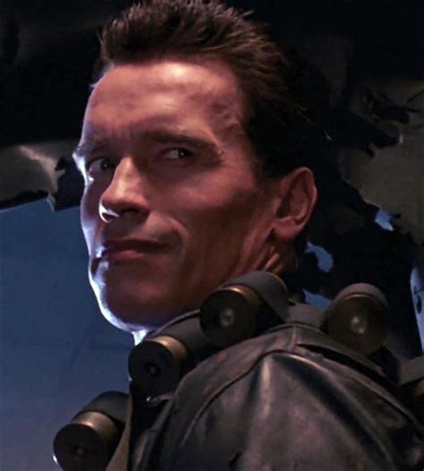 Terminator Arnold Schwarzenegger T 800 Character