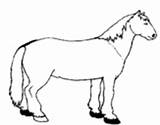 Cavalo Colorir Trapezista sketch template