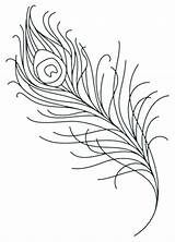 Feather Coloring Peacock Pages Printable Getcolorings sketch template