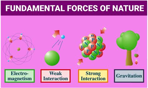 fundamental forces  nature gravitation electromagnetism  weak interactionand