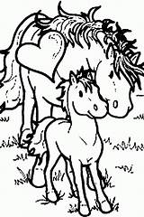 Coloring Horse Baby Pages Colouring Horses Mom Moody Judy Popular Coloringhome sketch template