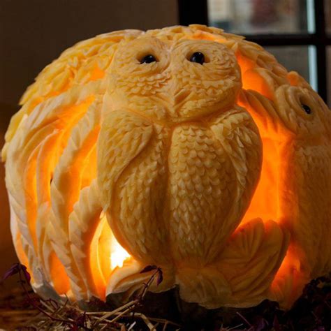 owl barn happy halloween  amazing pumpkin carvings