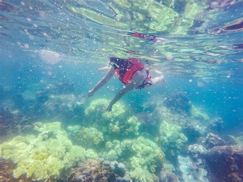 Asian Girl Snorkeling Samui Thailand Del Colaborador De Stocksy Rein