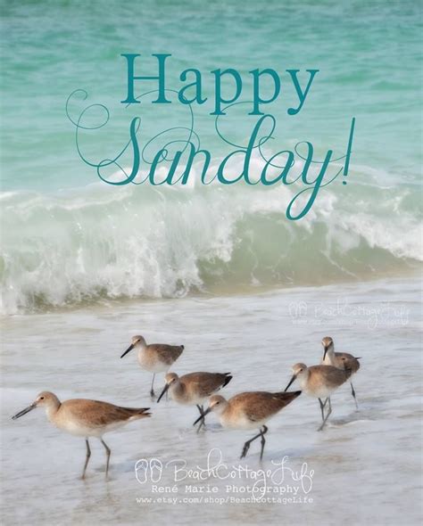 11 28 15 sunday beach quotes sunday quotes funny good morning friday