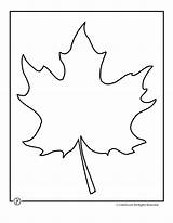 Leaf Maple Template Outline Printables Sycamore Printable Clip Clipart Large Kids Fall Blank Templates Pattern Line Oak Jr Coloring Trace sketch template
