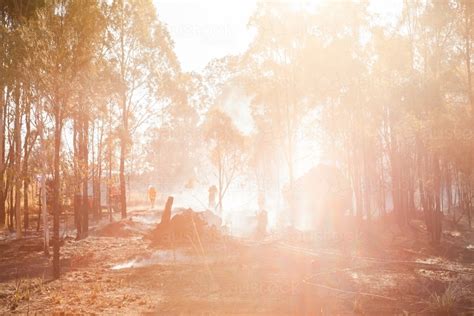 Image Of Gold Sun Haze Over Firefighters At Scene Of