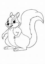 Coloring Squirrel Pages Drawing Parentune Kids Worksheets sketch template