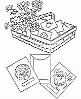 Coloring Pages Garden Sheets Seeds Spring Vegetable Gardening Kids Activity Planting Louisiana Template Popular Plant Sports Color Coloringhome Activities Comments sketch template