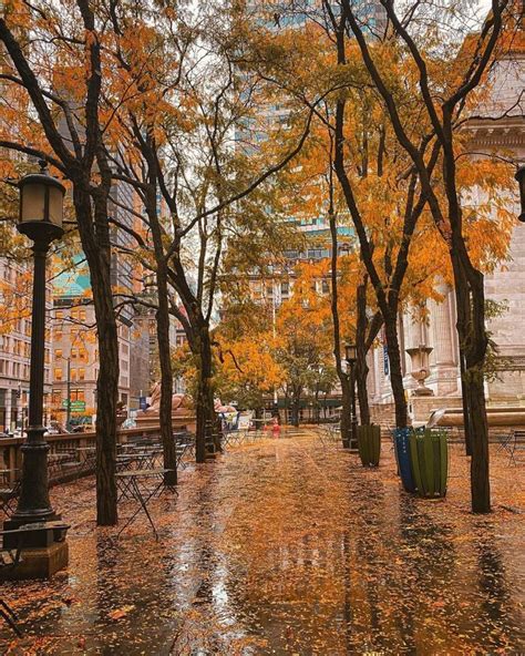 rainy cold autumn day   york autumn scenery autumn instagram