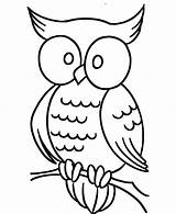 Coloring Pages Large Print Adults Iowa Owl Printable Easy Getcolorings Color Kids Simple Books Getdrawings Comments Colornimbus sketch template
