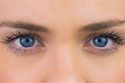 blue eyes  pictures  interesting facts