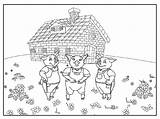 Cerditos Colorear Tres Pigs Lobo Pig Paja Colouring sketch template