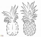 Coloring Pages Pineapple Pinapple Fun Result Drawing sketch template