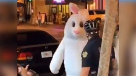 Infamous ‘florida Easter Bunny Arrested After Hit And Run – Nbc 6