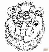 Porcupine Coloring Cute Baby Pages Drawing Printable Line Supercoloring Color Porcupines Version Click Getdrawings Designlooter Paintingvalley Categories sketch template