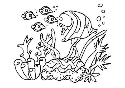 sea life coloring pages  preschool  getcoloringscom