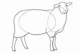 Sheep Erase Remaining sketch template