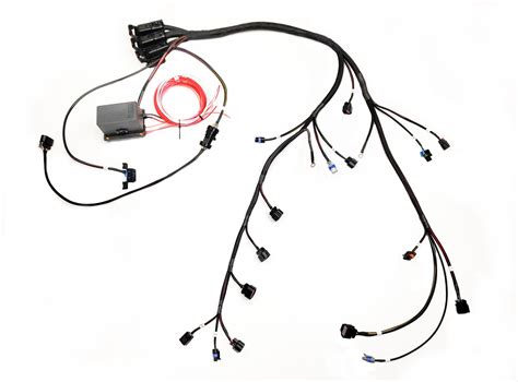 ecotec stand  wiring diagram