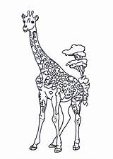 Girafe Hugolescargot Colorier Sauvages Savane Choisir sketch template