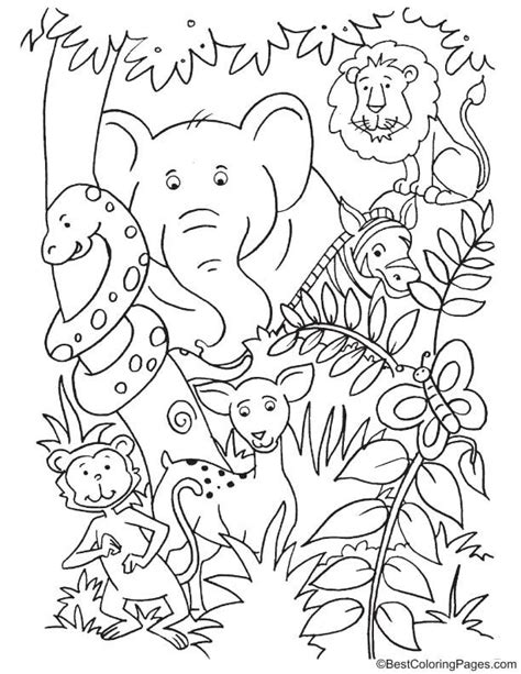 animals   jungle coloring page jungle coloring pages zoo