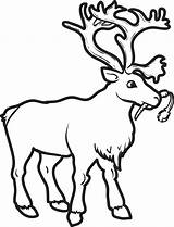Reindeer Reindeers Coloringbay Sheets Carrot Coloring sketch template