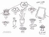 Coloring Persian Eid Pages Getcolorings Norooz Getdrawings sketch template