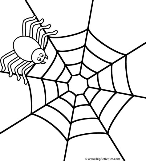 spider  web coloring page insects