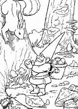 Kleurplaat Kabouter Gnome Coloring Skrzaty Malvorlagen Eekhoorn Kolorowanki Skrzat Kabauter Krasnoludki Coloriages Gnomes Ausmalbild Dzieci Kolorowanka Animaatjes Malvorlage Volwassenen Malvorlagen1001 sketch template