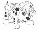 Coloring Paw Pages Popular sketch template