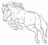Jumping Lineart Horses Pferde sketch template