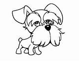 Schnauzer Coloring Miniature Pages Colorear Perro Para Dibujos Perros Dibujo Line Drawing シュナウザー Dog Mini Puppy Dogs Color ぬりえ Perritos sketch template