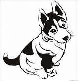 Chien Husky Puppies Cute Colorier Siberian Coloriages Wonder Coloringpagesonly sketch template