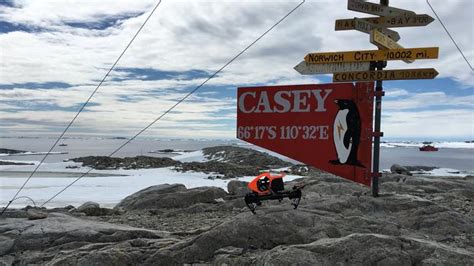antarctica drone captures polar wonders