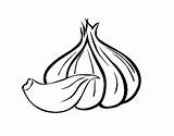 Ajo Garlic Alho Colorir Aglio Desenhos Verduras Coloringcrew Onion Vegetable Alhos Cabeza Dibuix Acolore Verdure Welsh Chives Descascados Conservar Comida sketch template