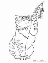 Coloring Cat Pages Cute Fluffy Online Color Cats Print Chat Coloriage Qui Joue Animal Avec sketch template