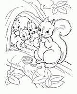 Squirrel Everfreecoloring Printable sketch template