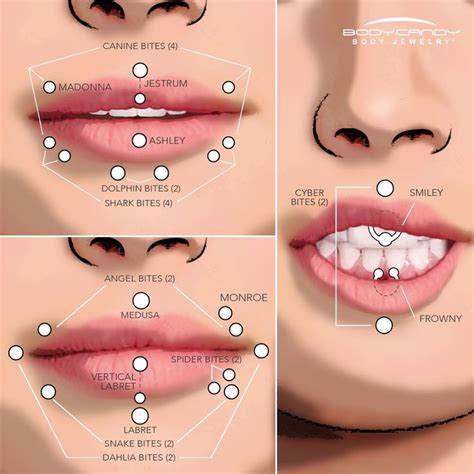 the piercing dictionary facial and lip piercings mouth piercings